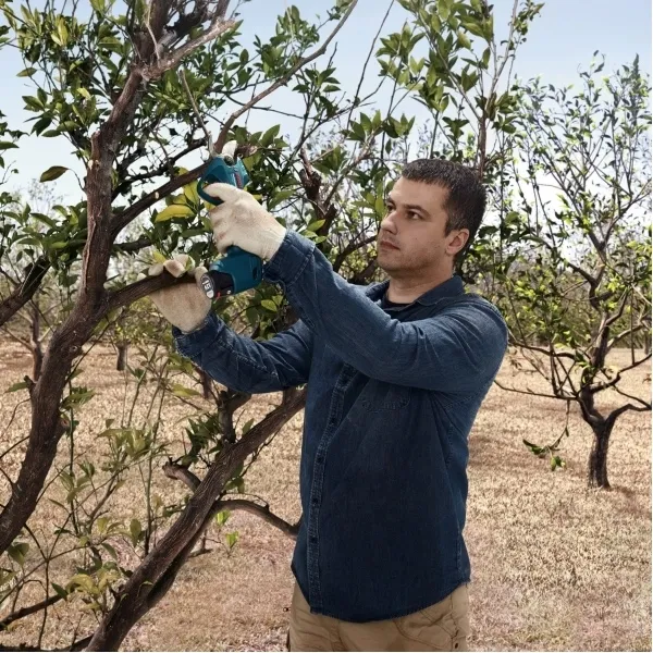 Bosch - Pro Pruner - Tijeras de jardín para ramas con 2 baterías, Li-Ion, 12 V, 3 ah, 25 mm, Motor sin escobillas